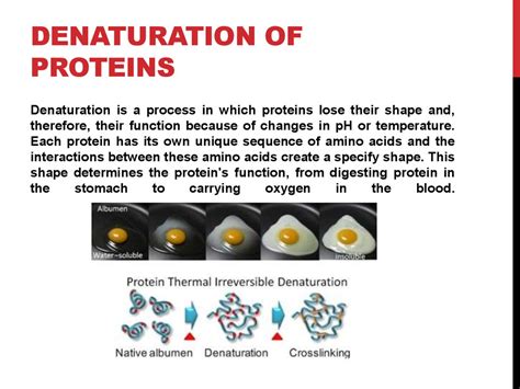 does autoclaving denature proteins|purpose of autoclaving.